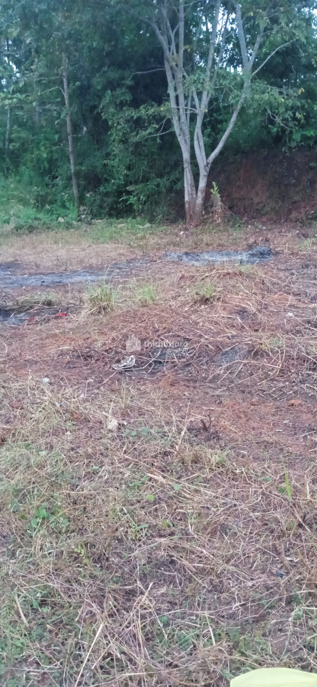 Residential land for sale at Kakkodi Kozhikode