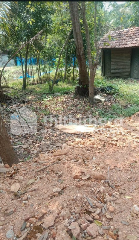 Residential Land available for Sale in Cherthala Alappuzha