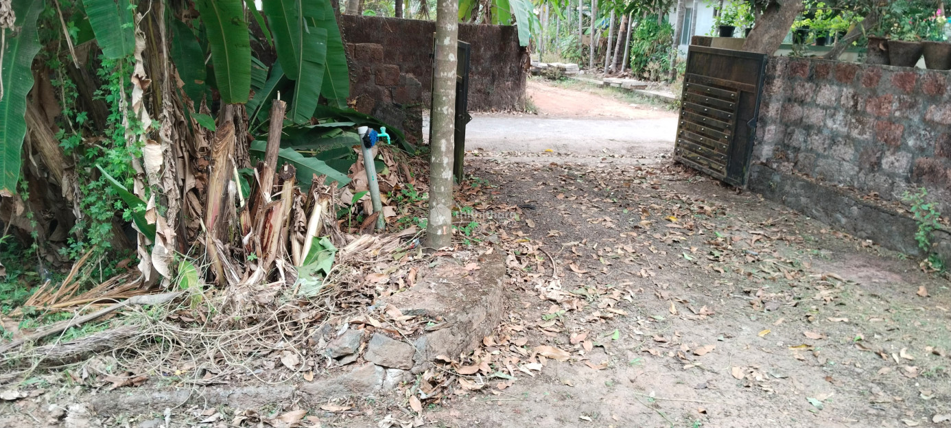 Residential Land available for Sale in Kakkodi Kozhikode