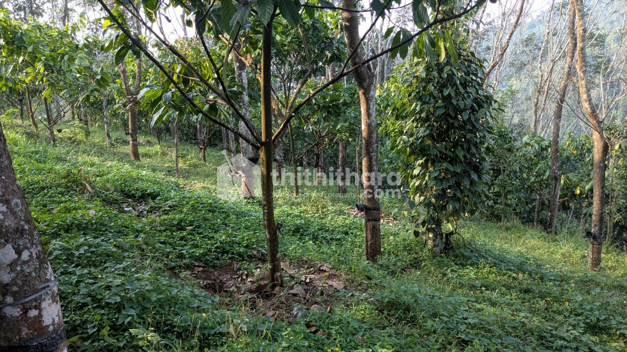 Residential Land available for Sale in Mukkudam Idukki 
