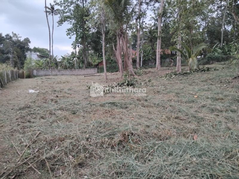 Residential Land available for Sale in Adoor Pathanamthitta