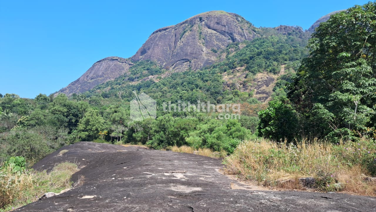 Commercial plot for sale in Vellarada Thiruvanathapuram