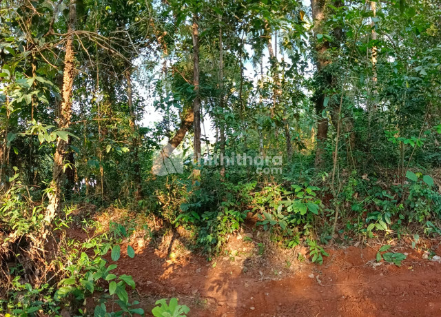 Residential Land for sale at Tirur Malappuram