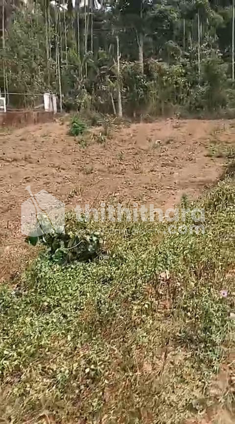 Residential Land available for Sale in Sulthanbathery Wayanad