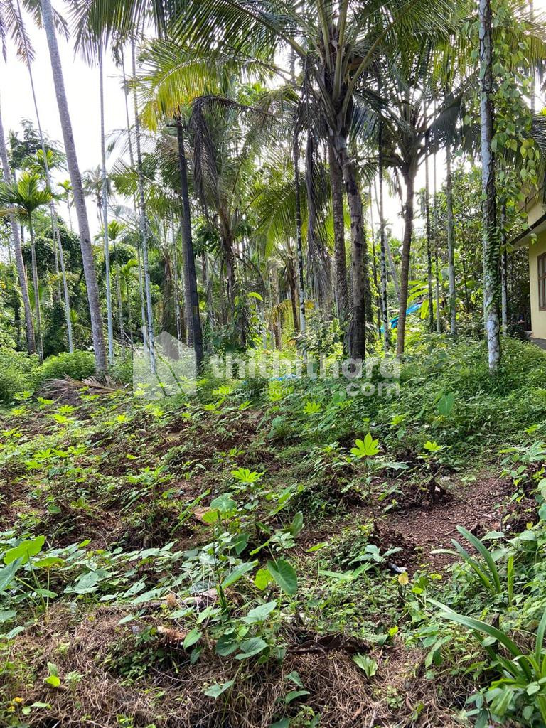 House plot for sale at  Kalliasseri ,Kannur