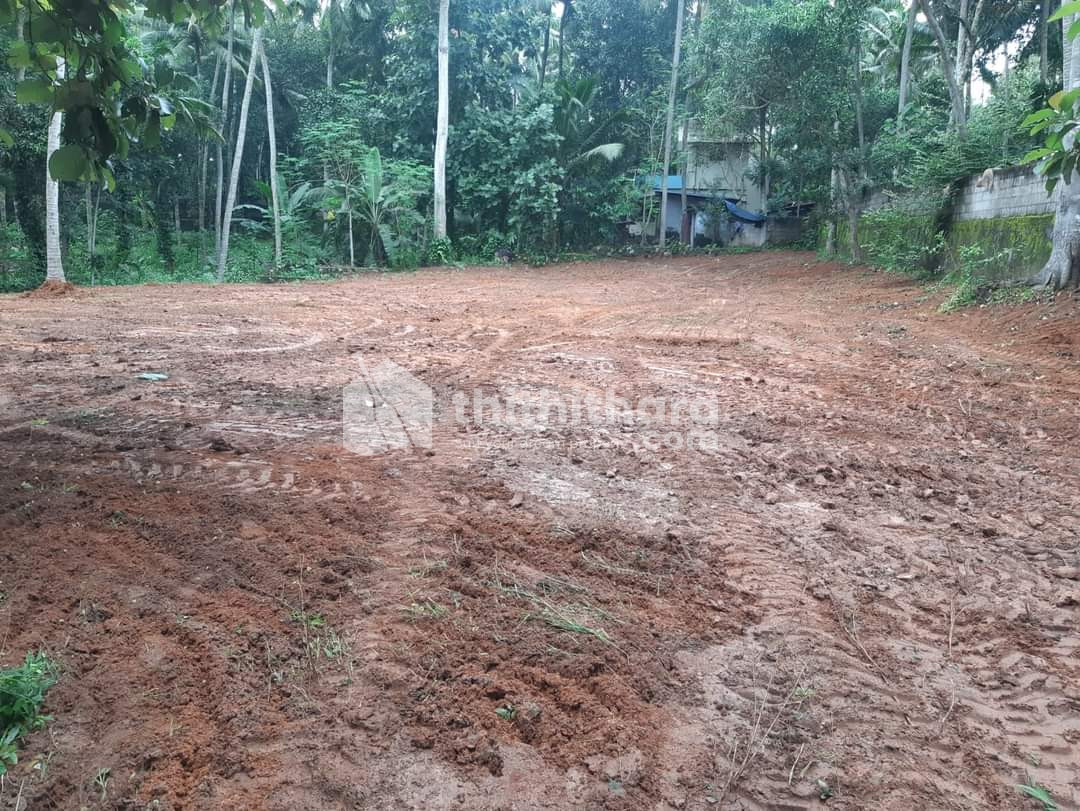 Residential Land available for Sale in Paravur Ernakulam