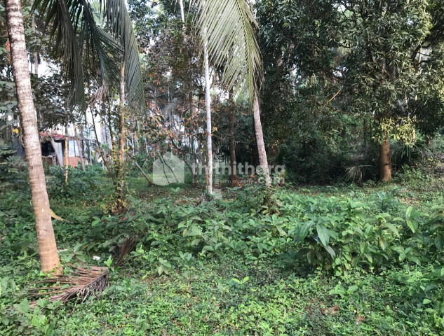 Residential land available for sale in Vazhakkad Malappuram