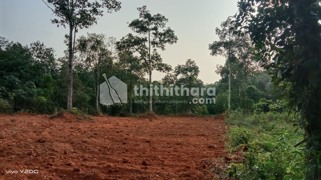 Residential Land available for Sale in Kayamkulam Alappuzha