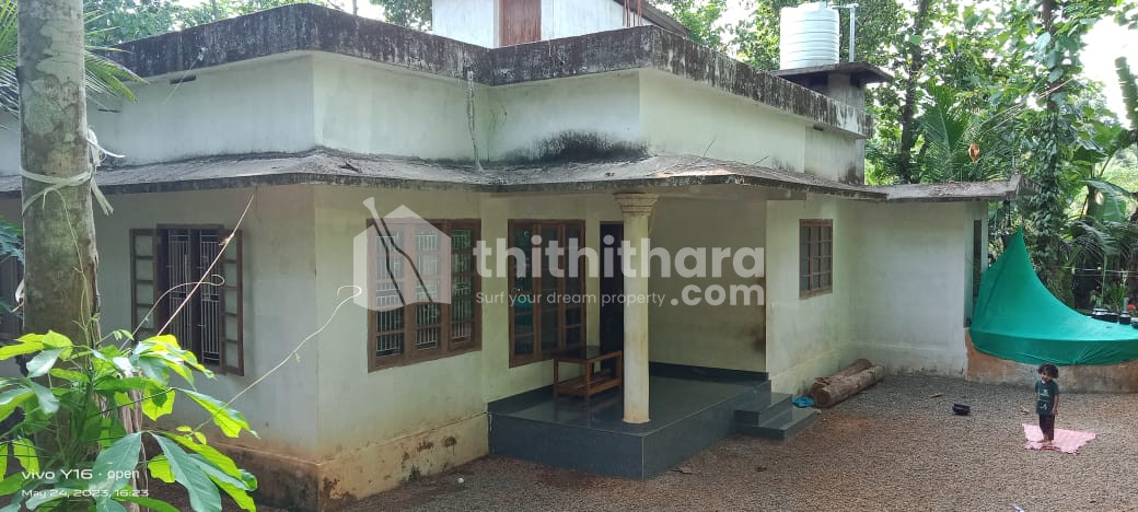 House for sale in Panniyoor, Taliparamba 