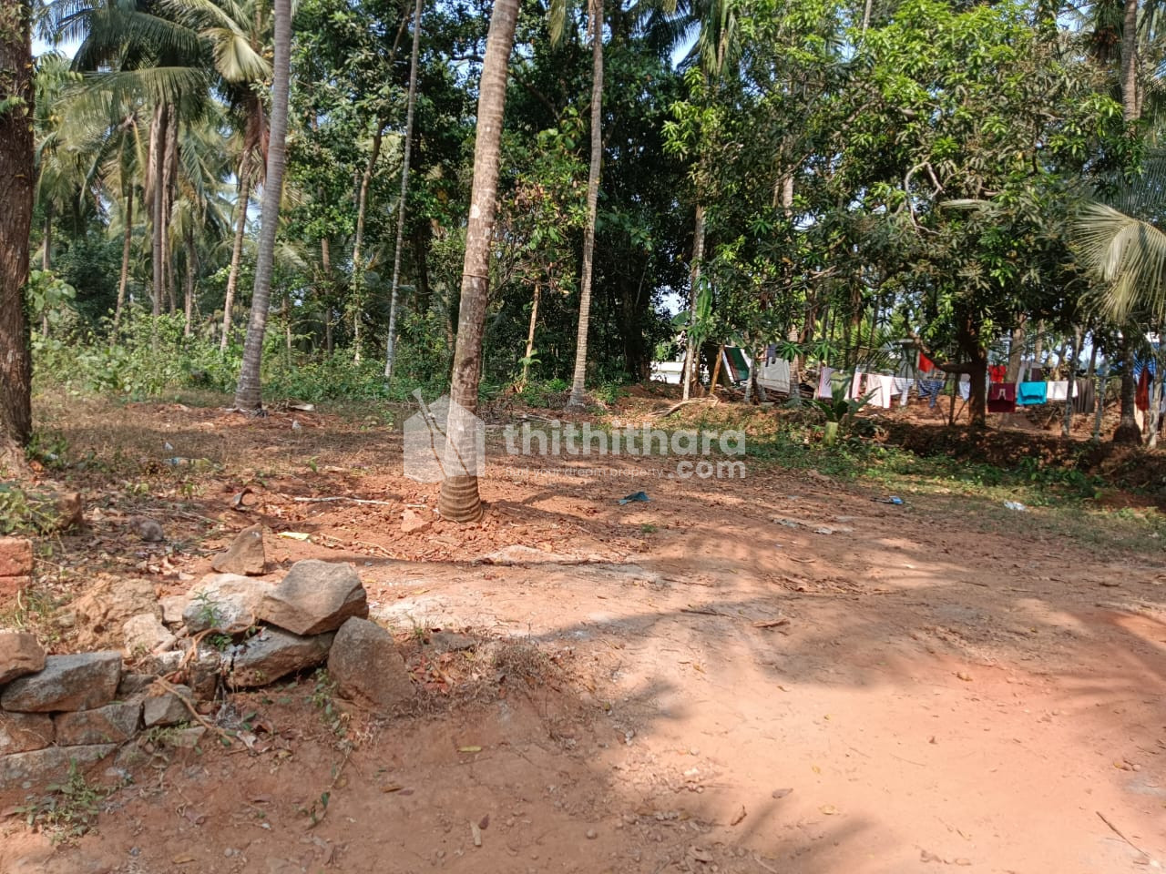 Residential land for sale in Balusseri Kozhikode
