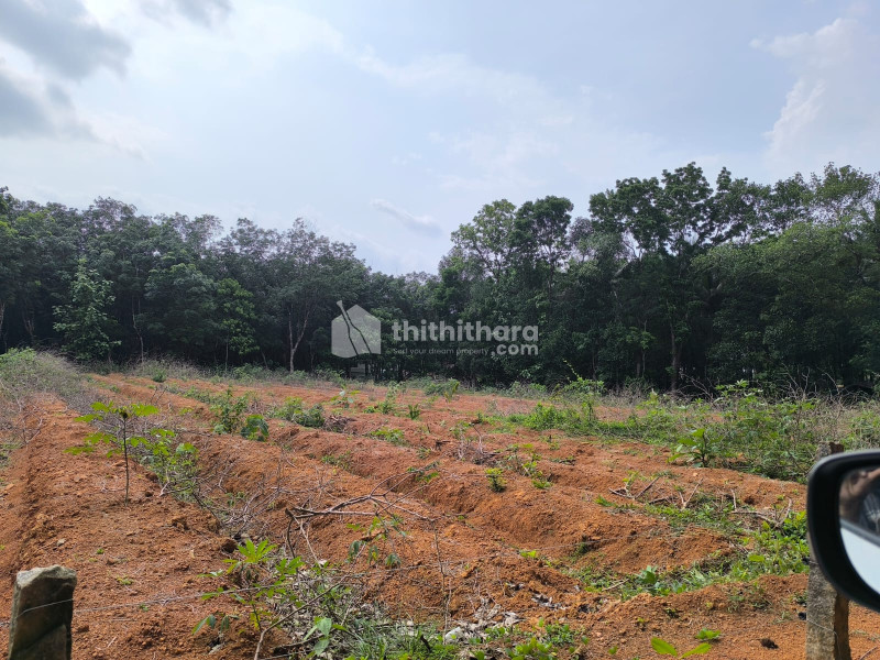 Commercial Plots available for Sale in Manjeri Malappuram