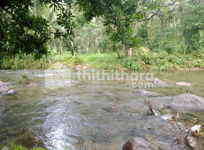 Residential land for sale at  Thiruvambady Kozhikode