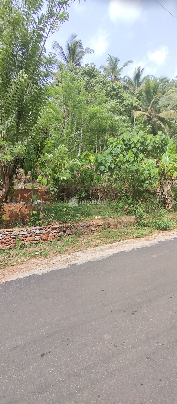 Agricultural land for sale at Kuttiadi Kozhikode