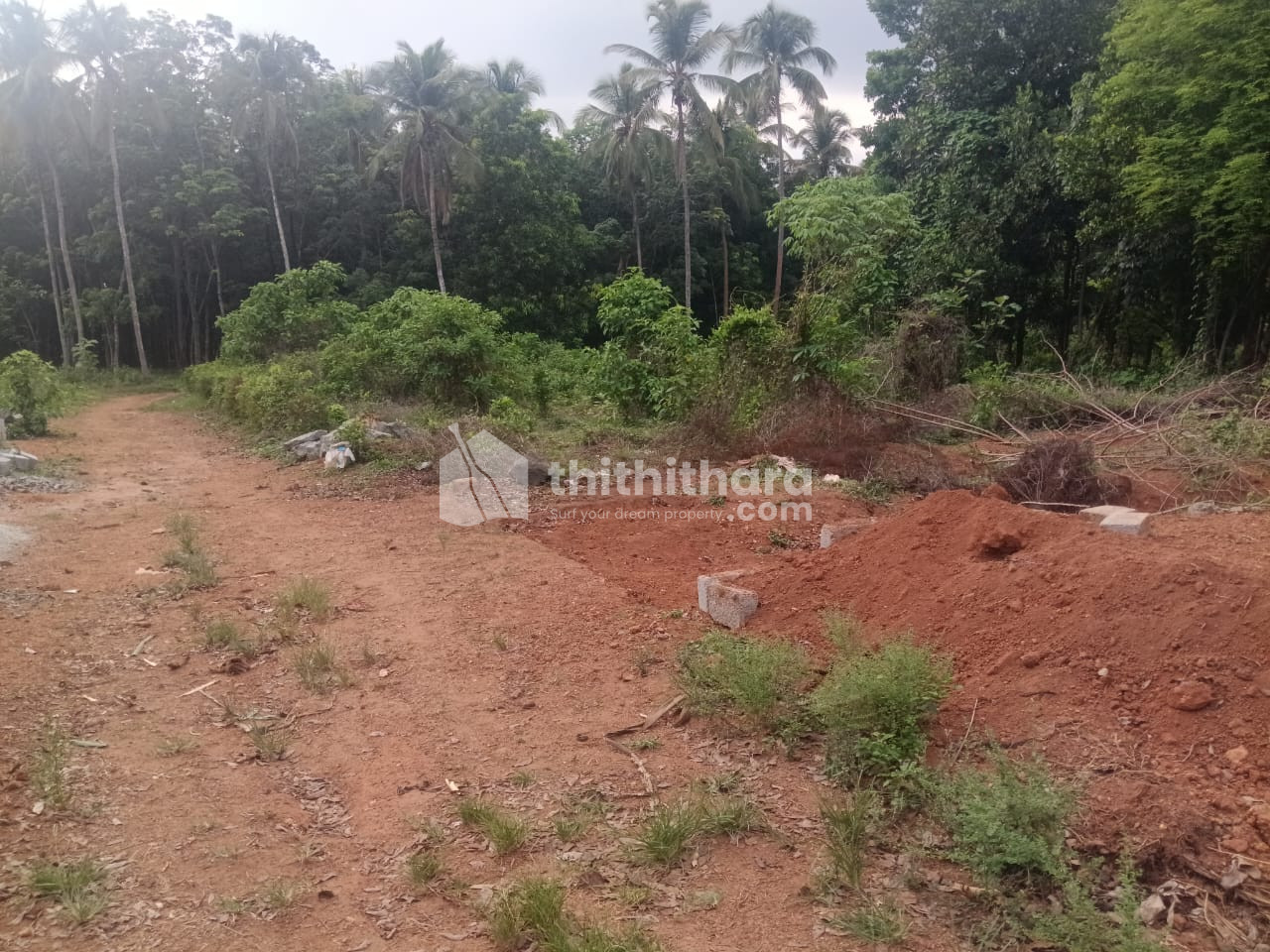 Residential Land available for Sale in Mundur Plalakkad