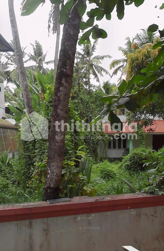 Residential Land available for Sale in Kochi Ernakulam