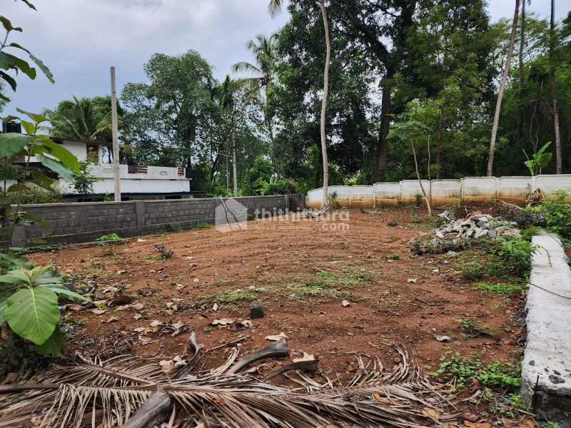 Residential Land available for Sale in Ollur Thrissur