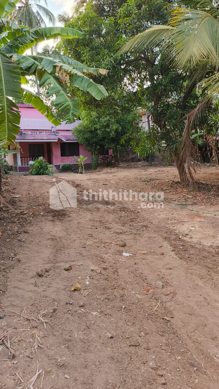 Residential Land For Sale In Punkunnam Thrissur