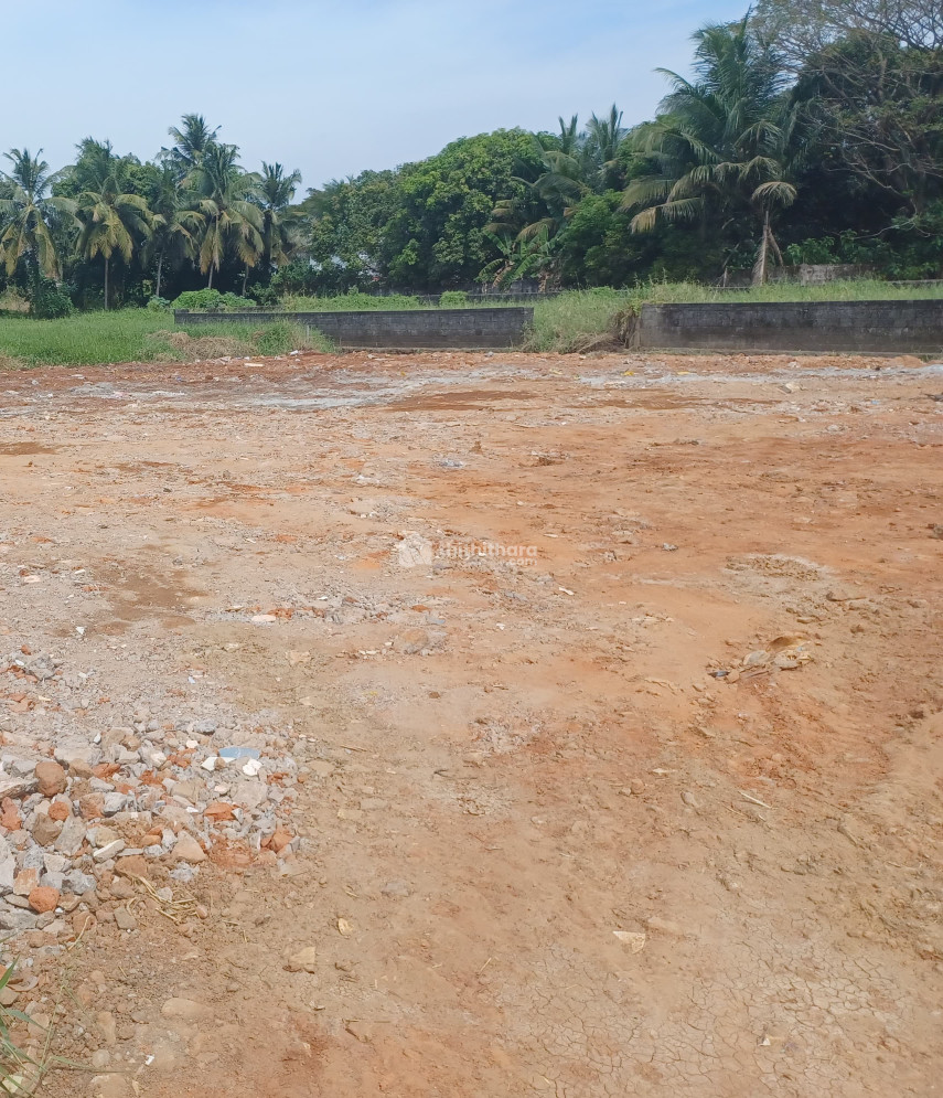 Residential Land for Sale In Ayyanthole Thrissur