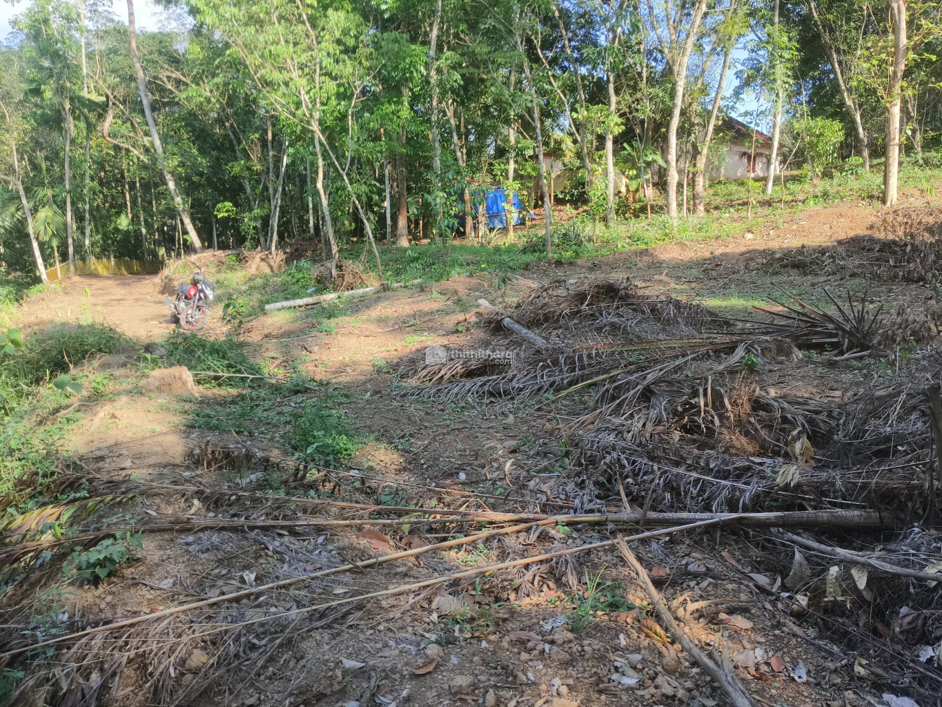 Residential land for sale at Adoor Pathanamthitta
