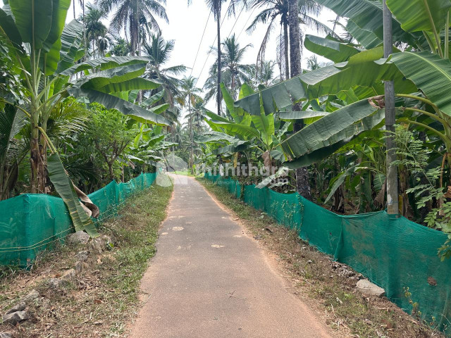 Residential Land available for Sale in Kuttiadi Kozhikode