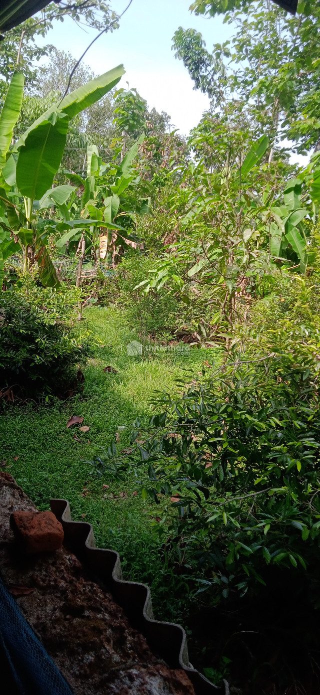 Residential Land For Sale Ettumanoor Kottayam