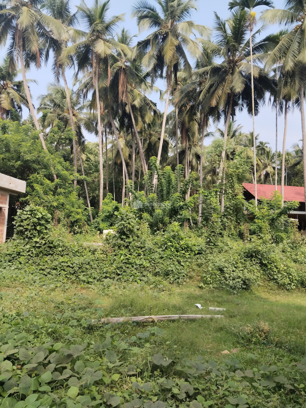 Residential Land available for Sale in Atholy Kozhikode