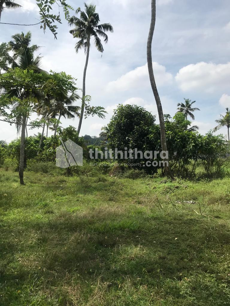 Residential Land For Sale In Thiruvanchoor Kottayam