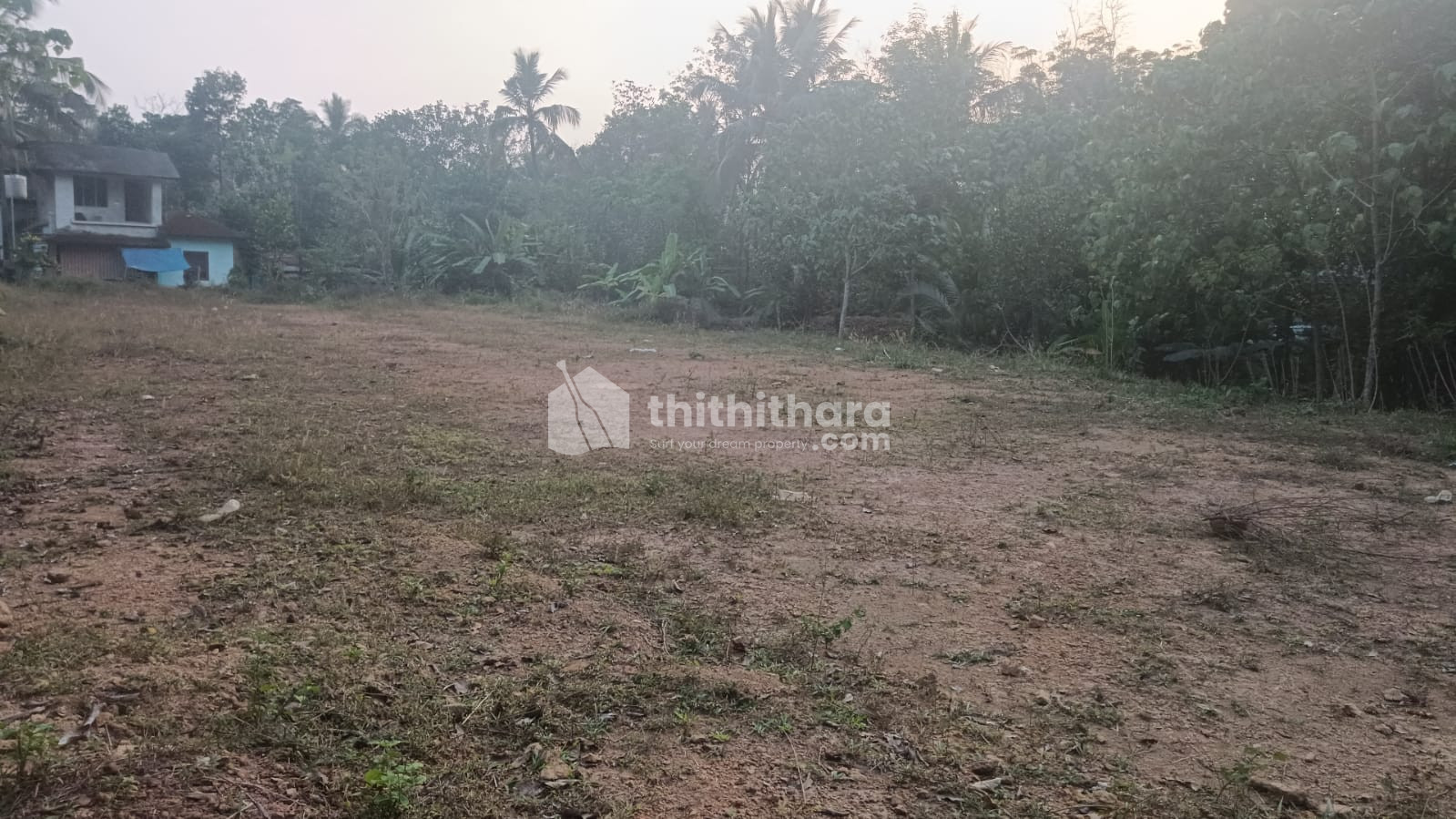 48.5 cent plot for sale at Iritty Kannur