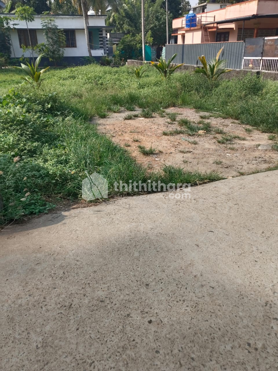 For Sale: 6.5 Cent Plot in Purakkad, Beside High School – Ideal for Residential or Commercial Use  