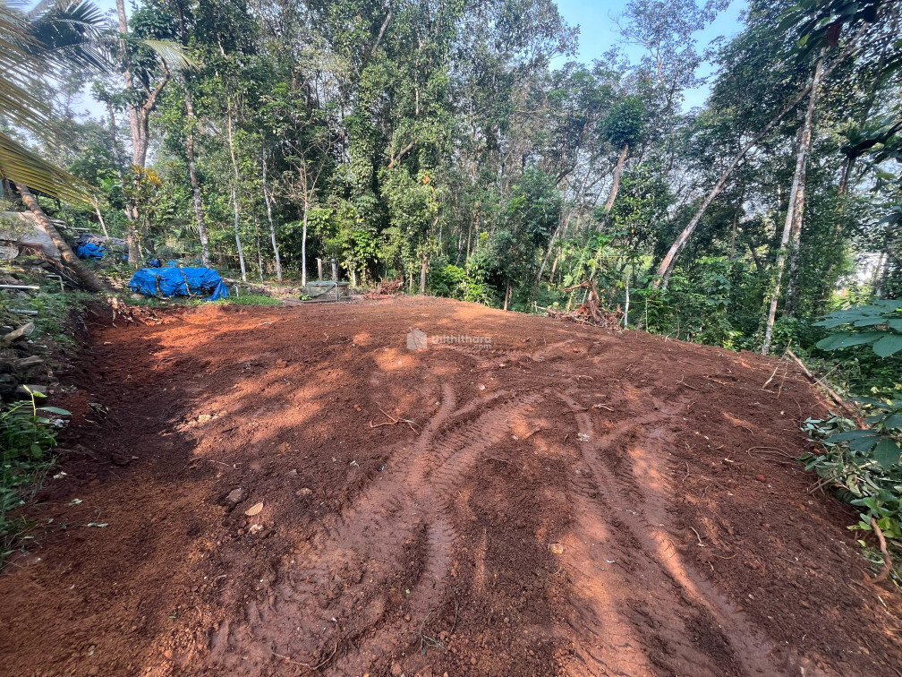 Residential Land available for Sale in Adoor Pathanamthitta