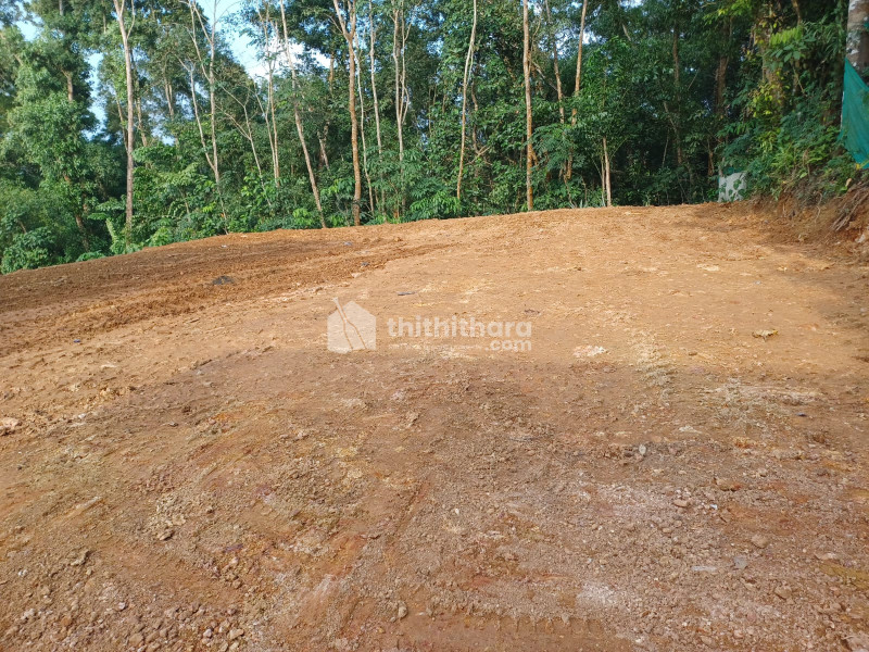 Residential Land available for Sale in Nedumangad Thiruvananthapuram
