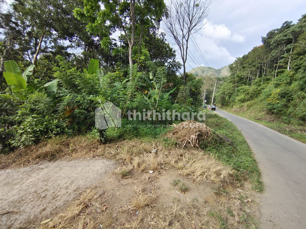 Residential Land available for Sale in Kattappana Idukki