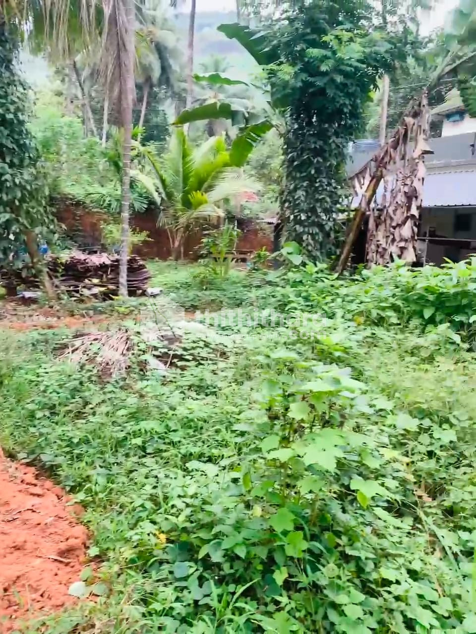Residential Land available for Sale in Morayur Malappuram