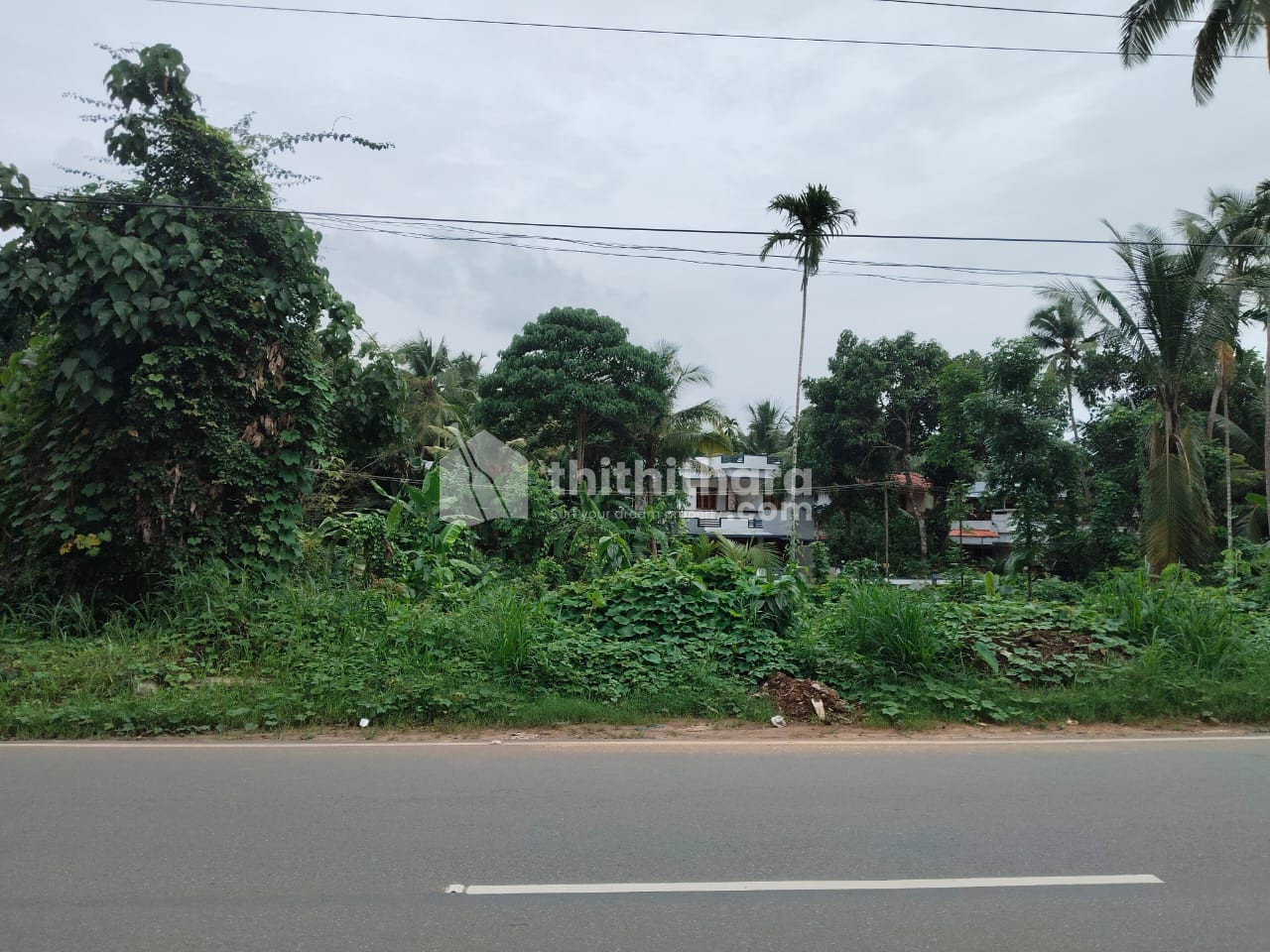 Commercial Plot for sale at Pattambi Palakkad