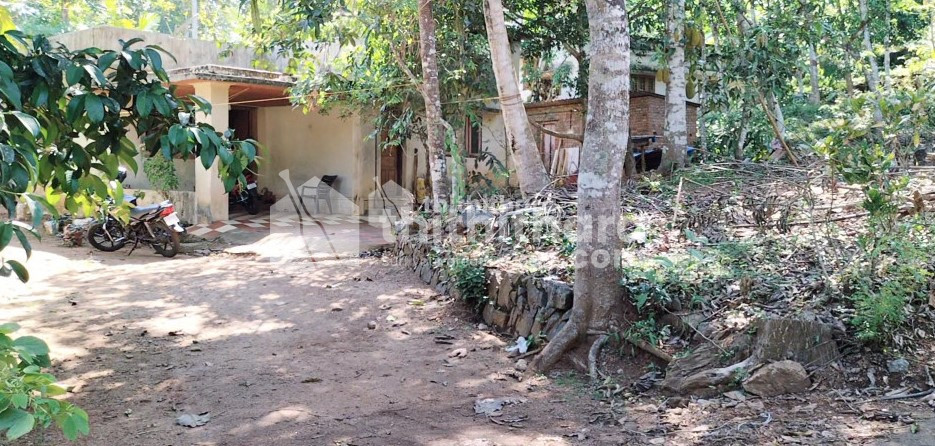 Residential Land for sale at Konni Pathanamthitta