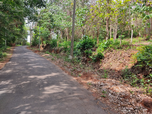 90 cents Land in Kayyam, Thaliparamba For Sale