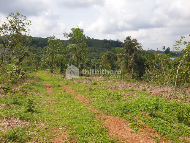 Residential Land available for Sale in Kangazha Kottayam