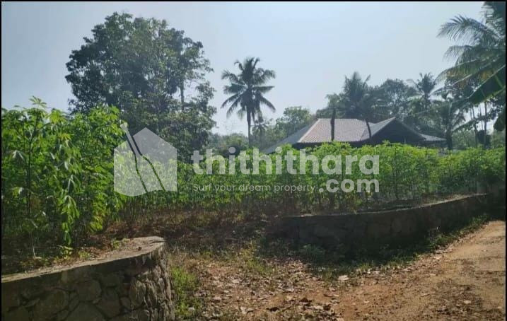 Residential land for sale at Pala Kottayam