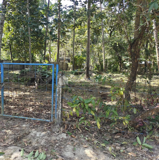 Residential Land available for Sale in Guruvayur Thrissur