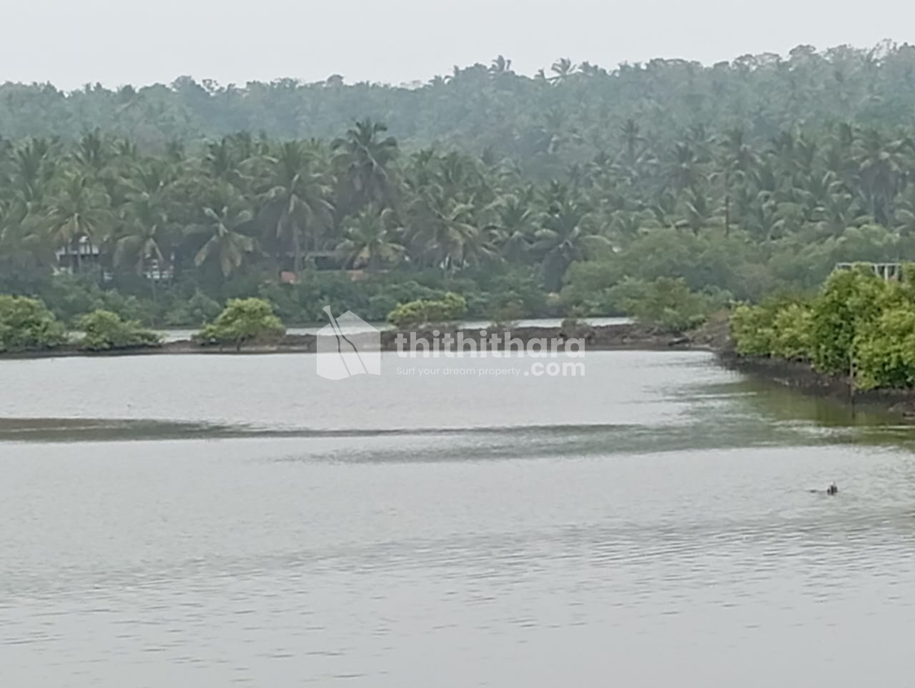 Commercial Plots available for Sale in Thalassery Kannur
