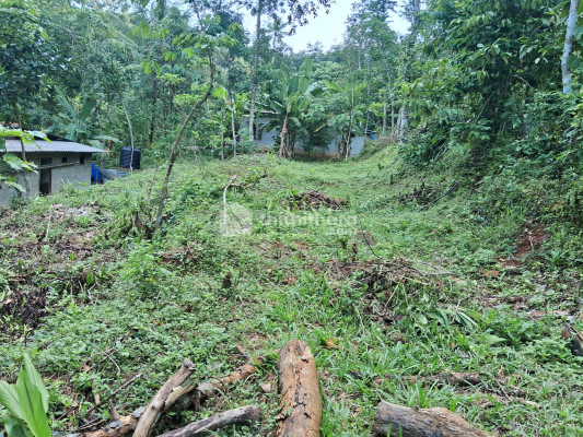 10 cent land for sale at Mattakkara ,Kottayam