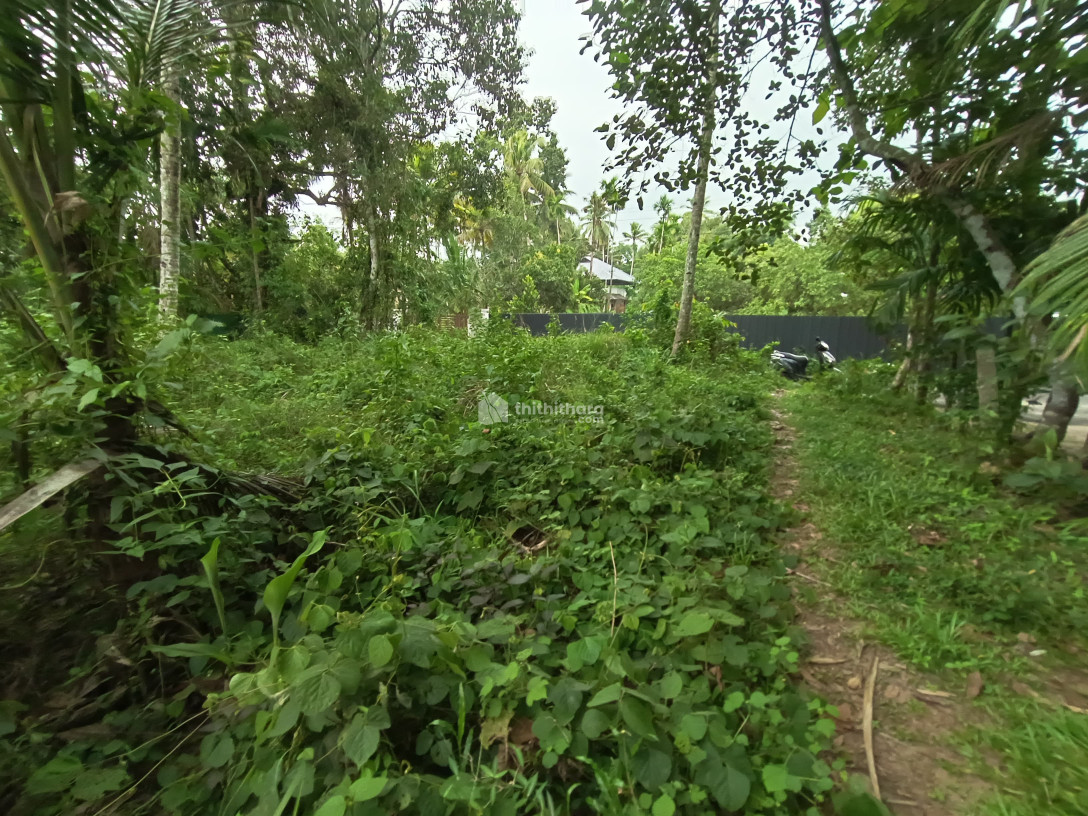 Residential Land available for Sale in Kayamkulam Alappuzha