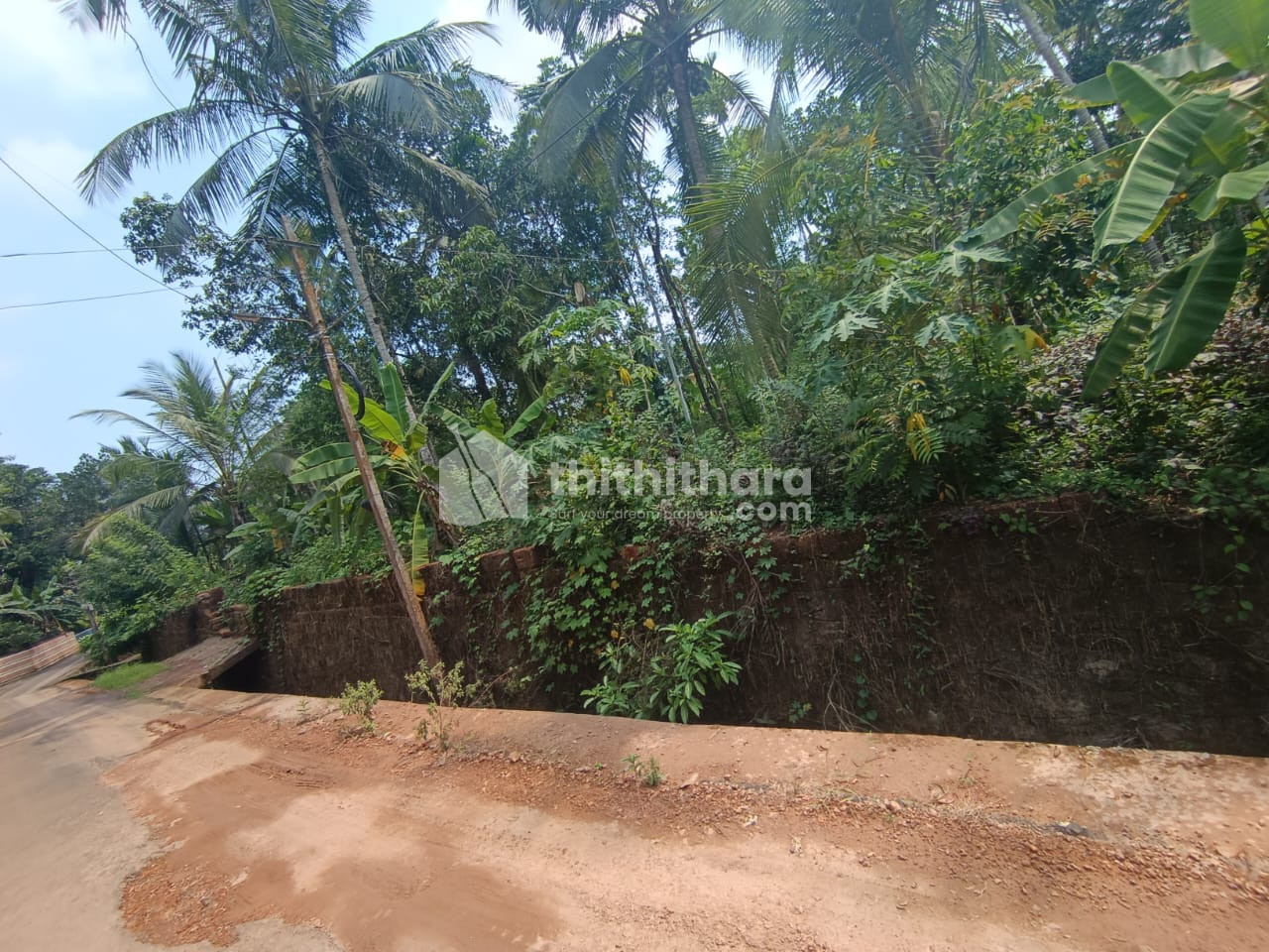 Residential Land For Sale In Mattanur Kannur 