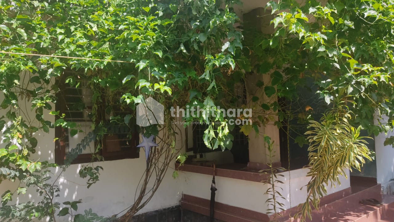 4 BHK Independent House available for Sale in Mattanur Kannur