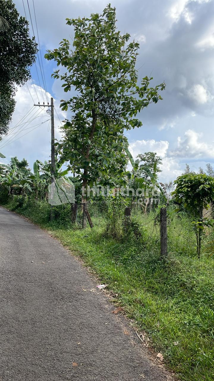 Residential Land available for Sale in Sulthanbathery Wayanad