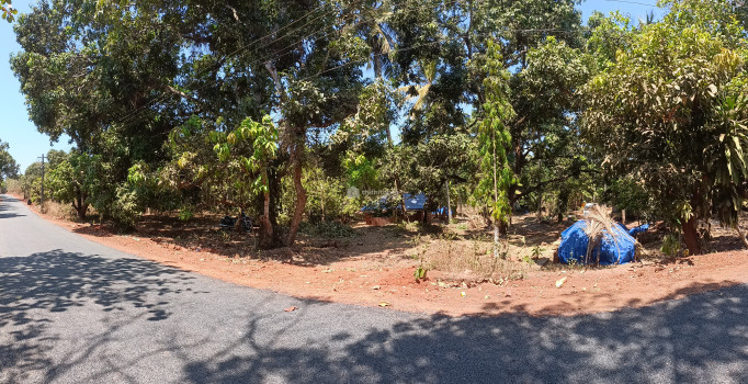 Residential Land for Sale at Kuttiyattoor, Mattannur 