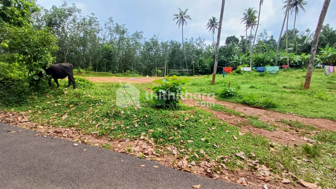 Commercial Plot available for Sale in Amayapra Idukki