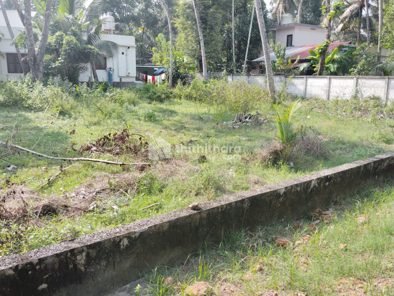Residential Land available for Sale in Kayamkulam Alappuzha