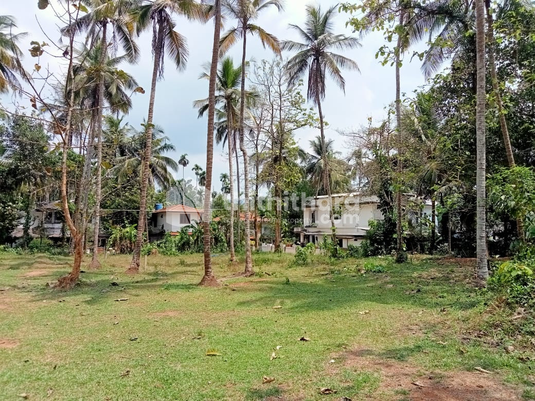 Residential Land available for Sale in Mukkam Kozhikode