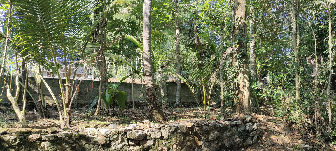 Residential land for sale at Kattakada Thiruvananthapuram